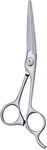 Barber Scissors